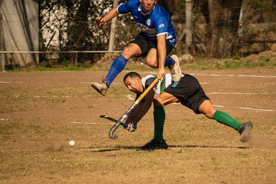 新站快速收录的终极方案